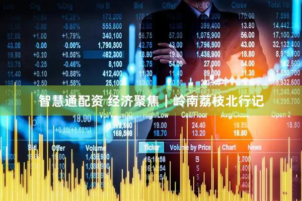 智慧通配资 经济聚焦｜岭南荔枝北行记