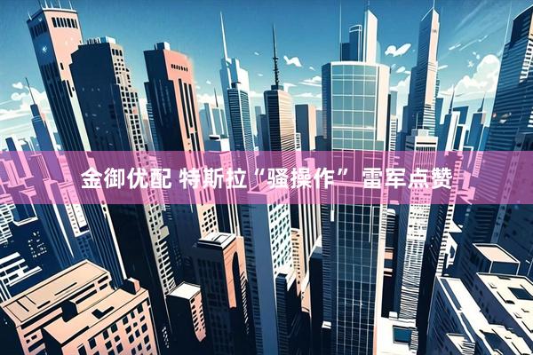金御优配 特斯拉“骚操作” 雷军点赞