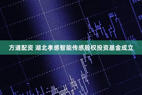 方道配资 湖北孝感智能传感股权投资基金成立