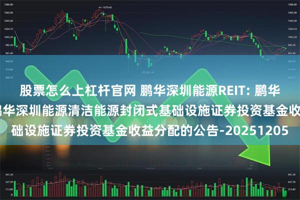 股票怎么上杠杆官网 鹏华深圳能源REIT: 鹏华基金管理有限公司关于鹏华深圳能源清洁能源封闭式基础设施证券投资基金收益分配的公告-20251205